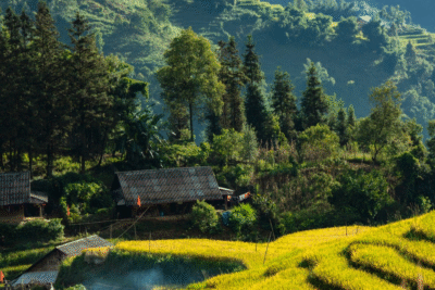 The evolution of Sapa hospitality through cultural roots