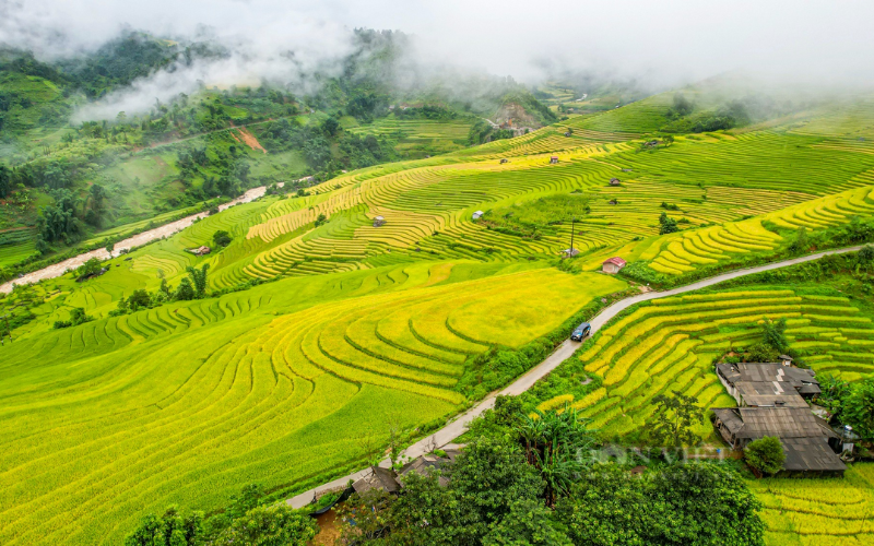 These Breathtaking Terraces Are The Heart Of Sapa Culture, Showcasing Timeless Agricultural Wisdom