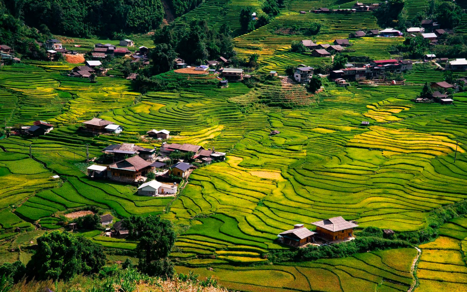 A Bird’s Eye View Of Ta Van Village.