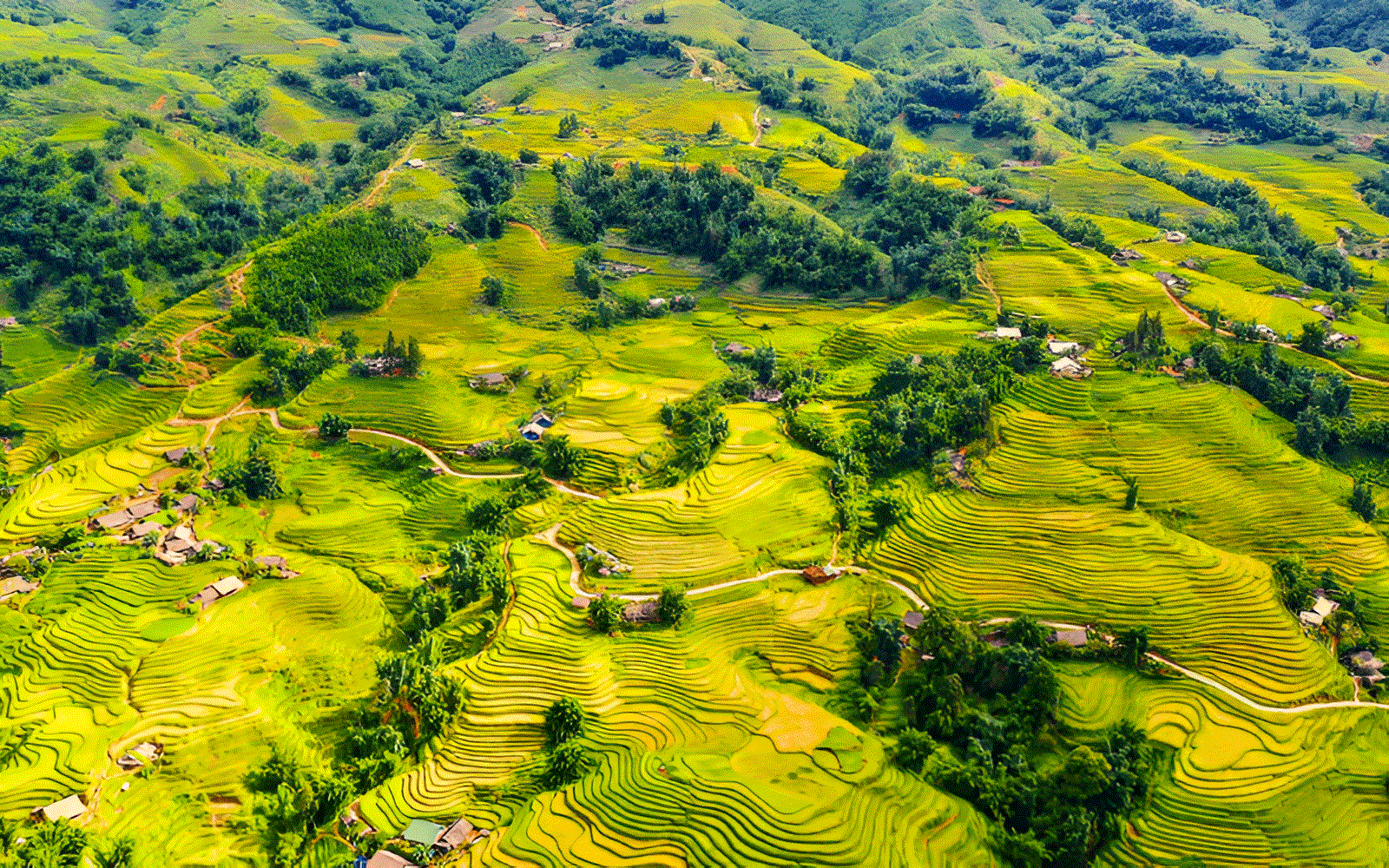 Sapa attractions: Top 10 Must-visit check-in spots 6 Authentic Homestay Experience In Ta Van Village, Surrounded By Nature.