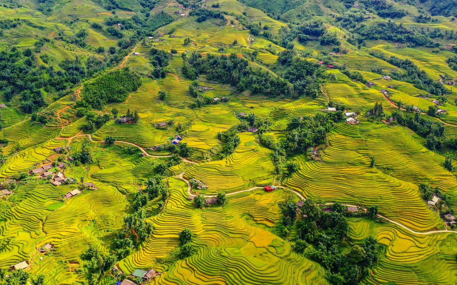Muong Hoa Valley the love song of the Northwest mountains 8 Light Packing And Sturdy Trekking Shoes Are Key Tips For A Complete Muong Hoa Valley Adventure.