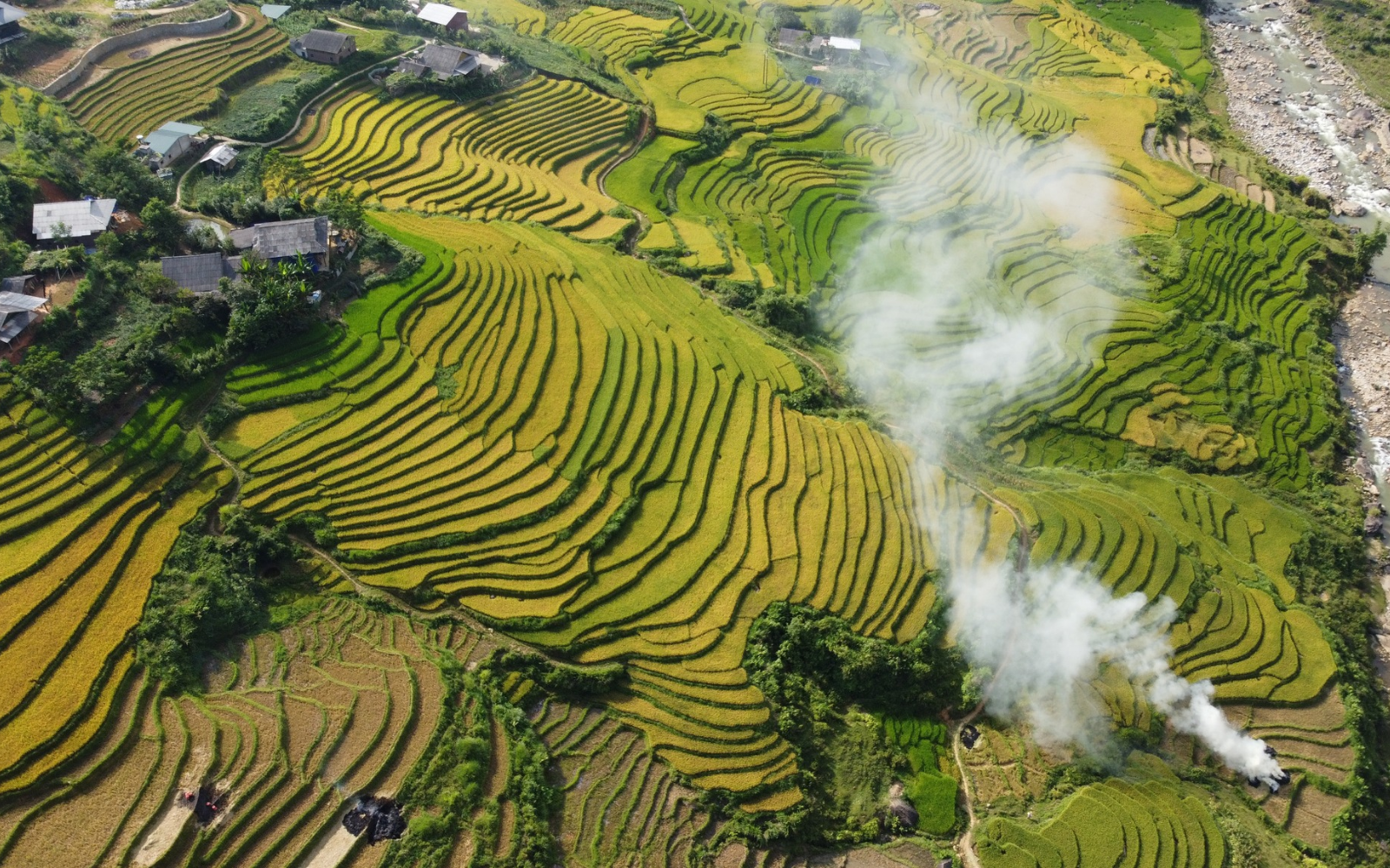 Muong Hoa Valley the love song of the Northwest mountains 7 Muong Hoa Valley During The Vibrant Rhododendron Season – The Perfect Time For Travelers To Explore And Check In.