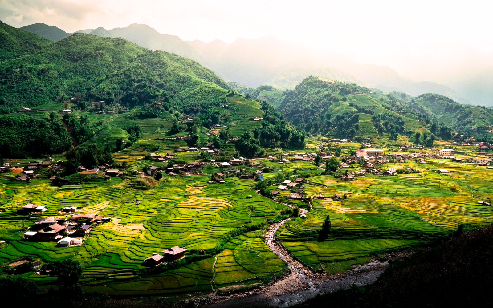Sapa history uncovered: From colonial hill station to booming tourist town 6 Ta Van Village During The Golden Rice Season.