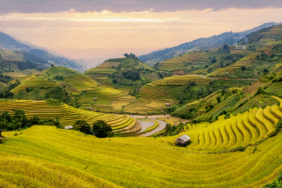 Muong Hoa Valley the love song of the Northwest mountains
