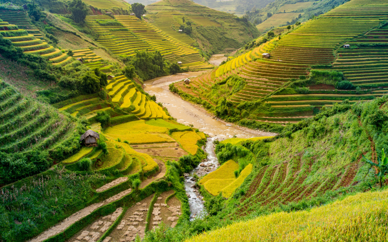 Muong Hoa Valley the love song of the Northwest mountains 3 The Crystal Clear Muong Hoa Stream Winding Through Terraced Fields And Peaceful Villages.